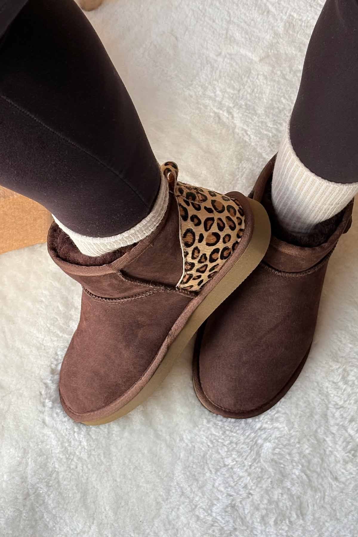 Pegia Cavallino Sheepskin Mini Boots 191135  - Choco