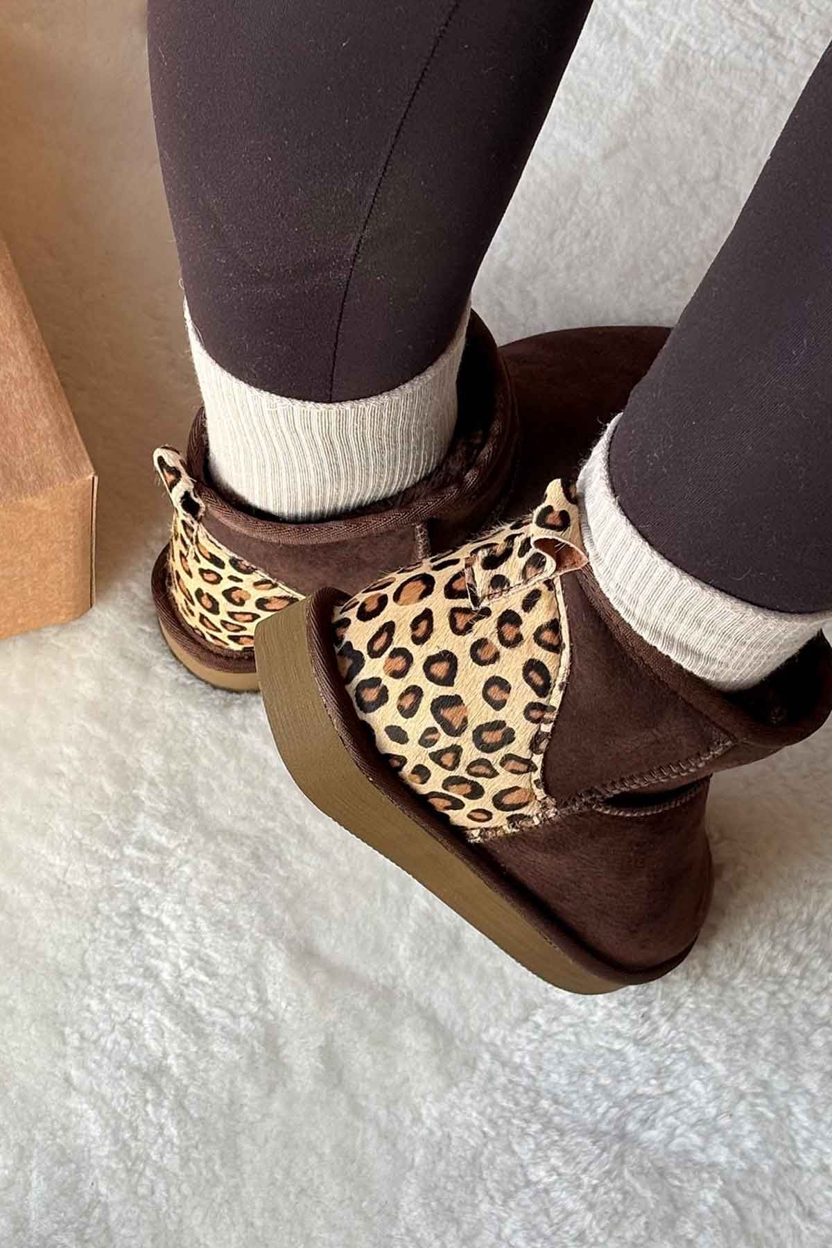 Pegia Cavallino Sheepskin Mini Boots 191135  - Choco