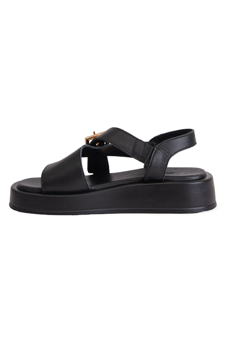 Pegia Women&