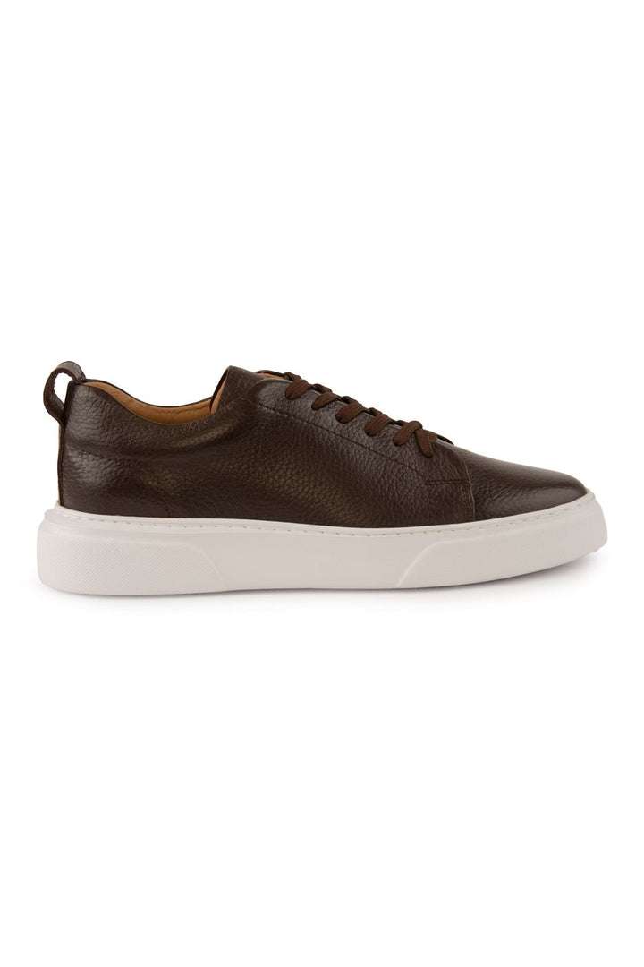 Pegia Leather Men's Sneakers DG5012  - Choco