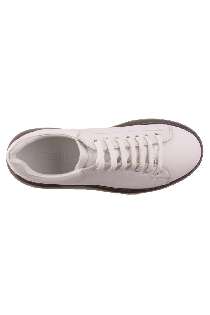 Pegia Men's Leather Sneakers DG5008  - White