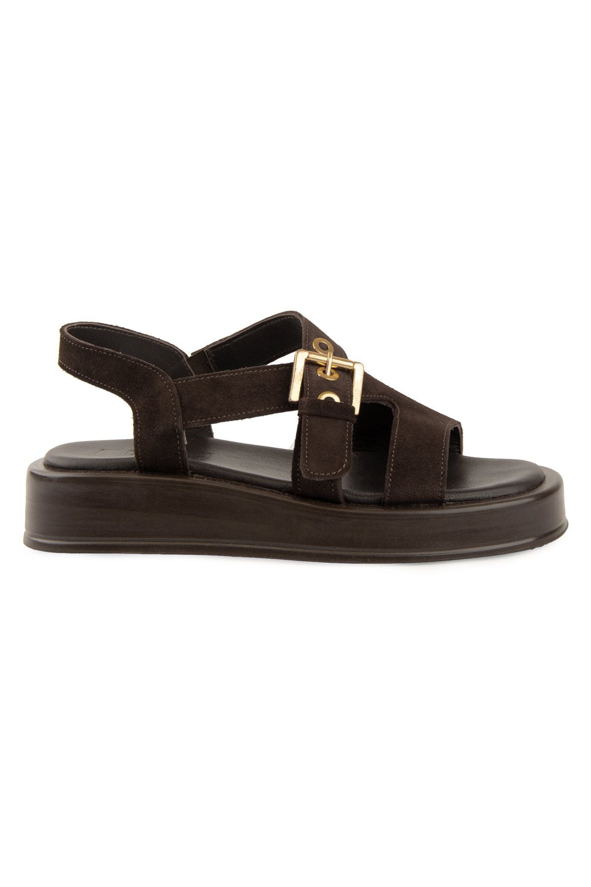Pegia Genuine Suede Buckle Women's Sandal DG6092  - Choco