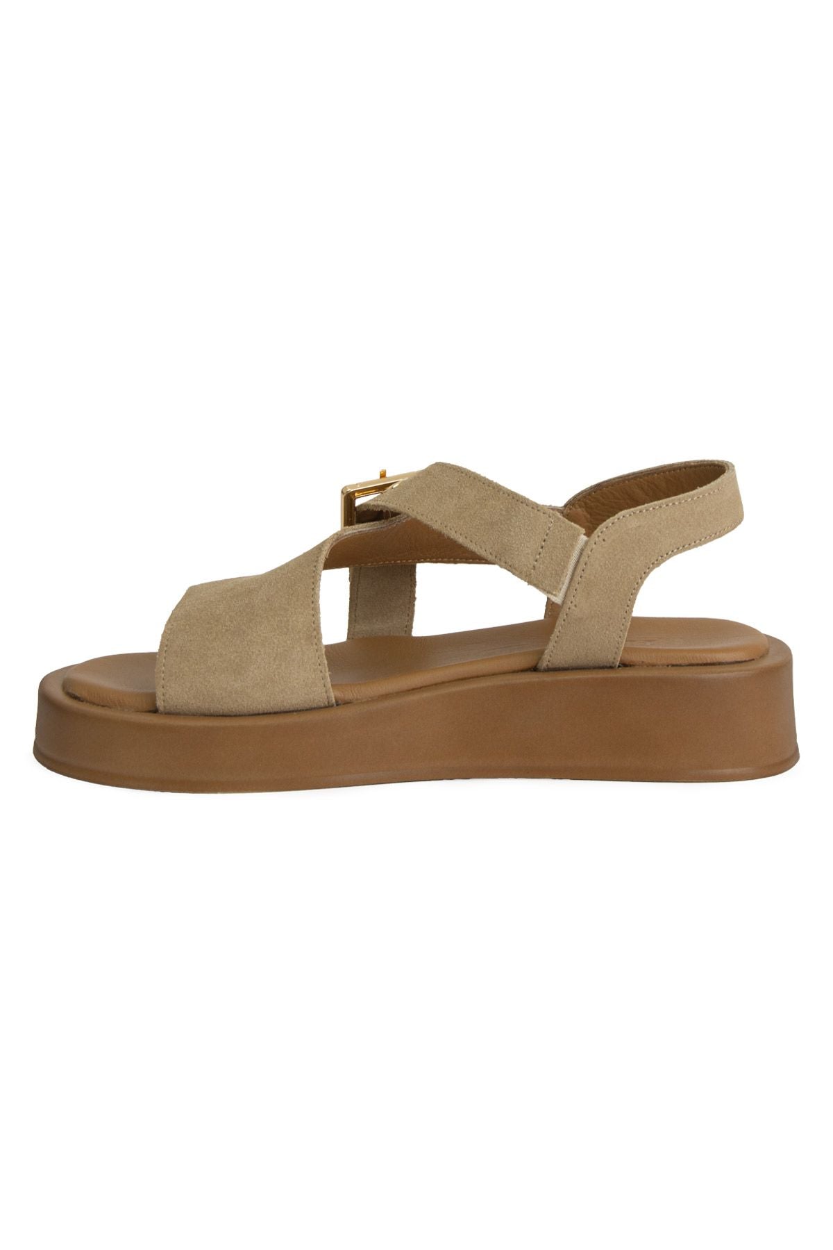 Pegia Genuine Suede Buckle Women's Sandal DG6092  - Latte