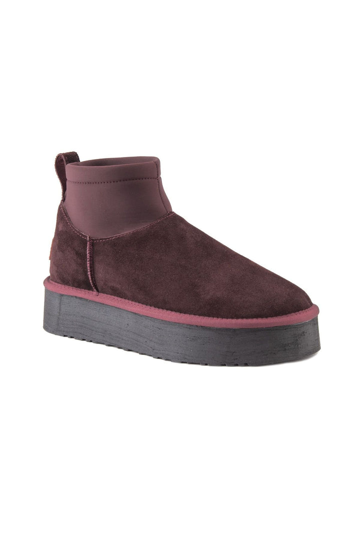 Pegia Sheepskin Stretch Mini Boots 191151  - Burgundy