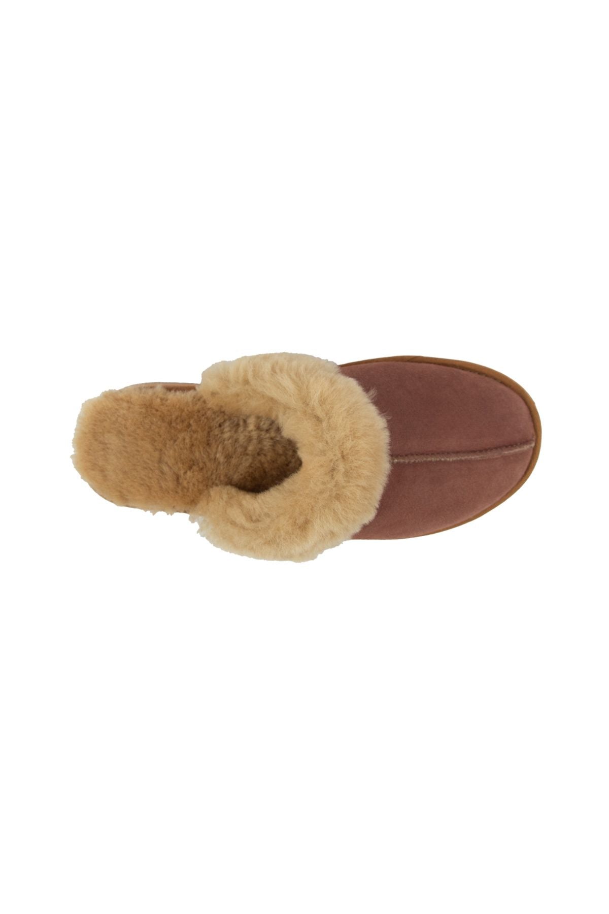 Pegia Women's Sheepskin House Slippers 191202  - Latte