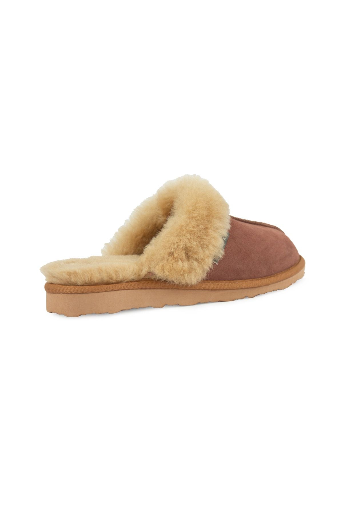 Pegia Women's Sheepskin House Slippers 191202  - Latte