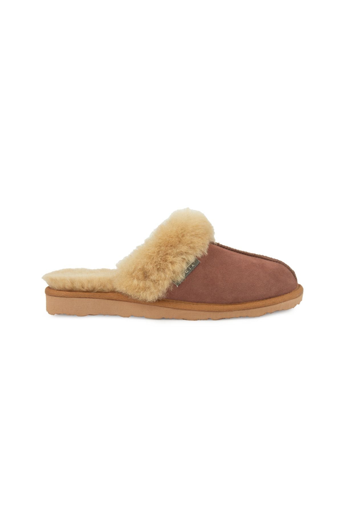 Pegia Women's Sheepskin House Slippers 191202  - Latte