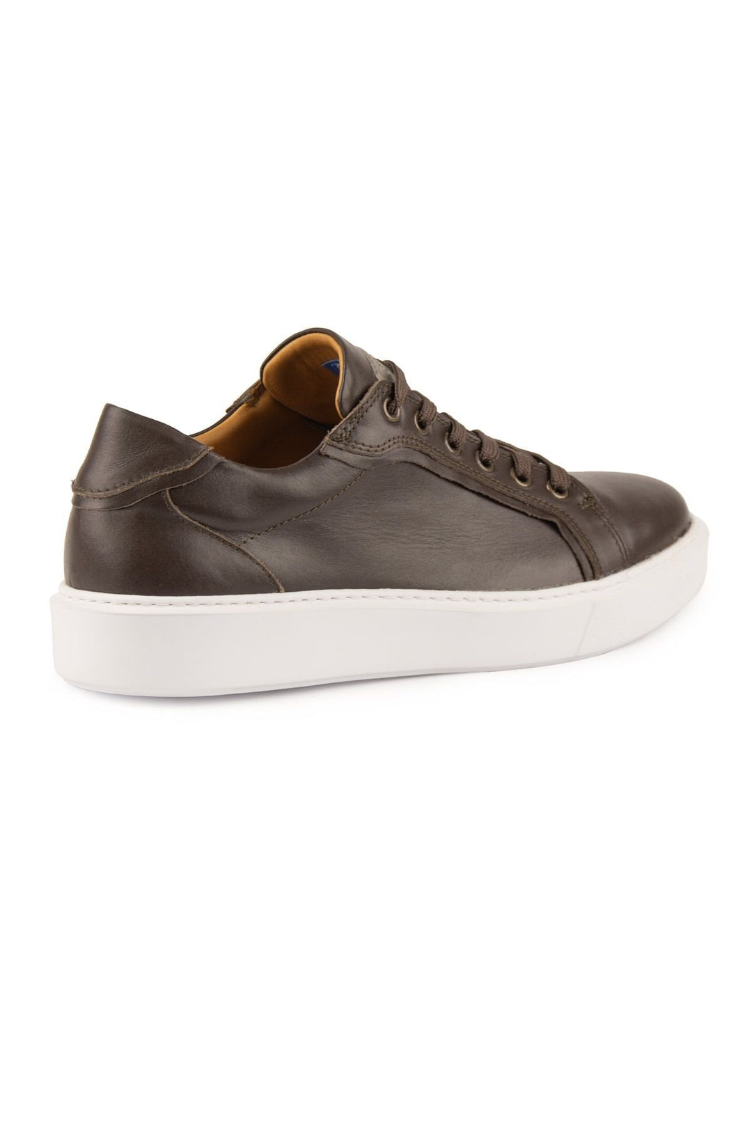 Pegia Star Genuine Leather Sneaker 500970  - Choco