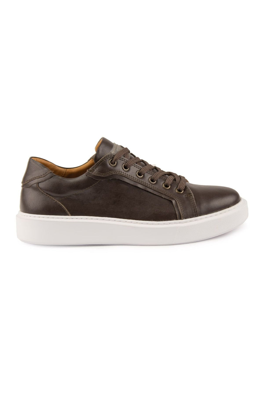 Pegia Star Genuine Leather Sneaker 500970  - Choco